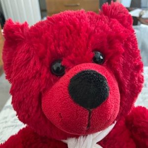 Red Teddy Bear with White Scarf